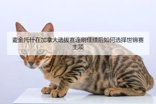 mai-jin-tuo-shen-zai-jia-na-da-xuan-ba-sai-lian-shua-jia-ji-hou-ru-he-xuan-ze-shi-jin-sai-zhu-xiang-2-259.jpg