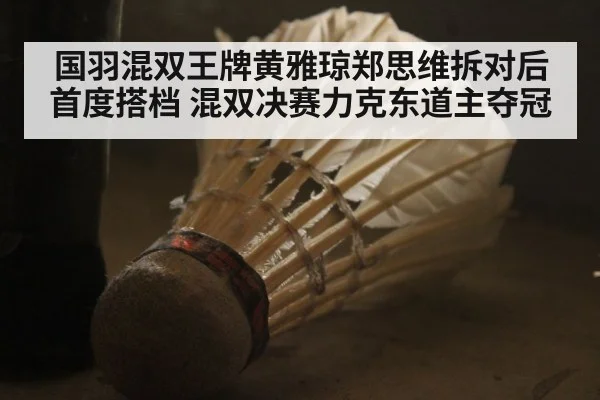 国羽混双王牌黄雅琼郑思维拆对后首度搭档 混双决赛力克东道主夺冠